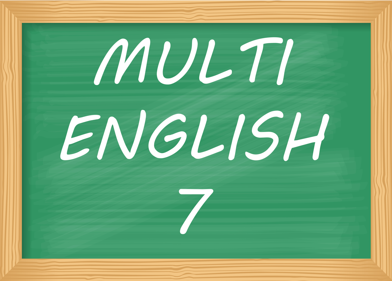 MULTI ENGLISH 7 - THEME 1